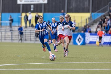 Bild 136 - wBJ Hamburger SV - FC Suederelbe : Ergebnis: 9:0